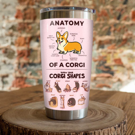 Anatomy Of A Corgi Shapes Cute Corgi Dog Tumbler 2021