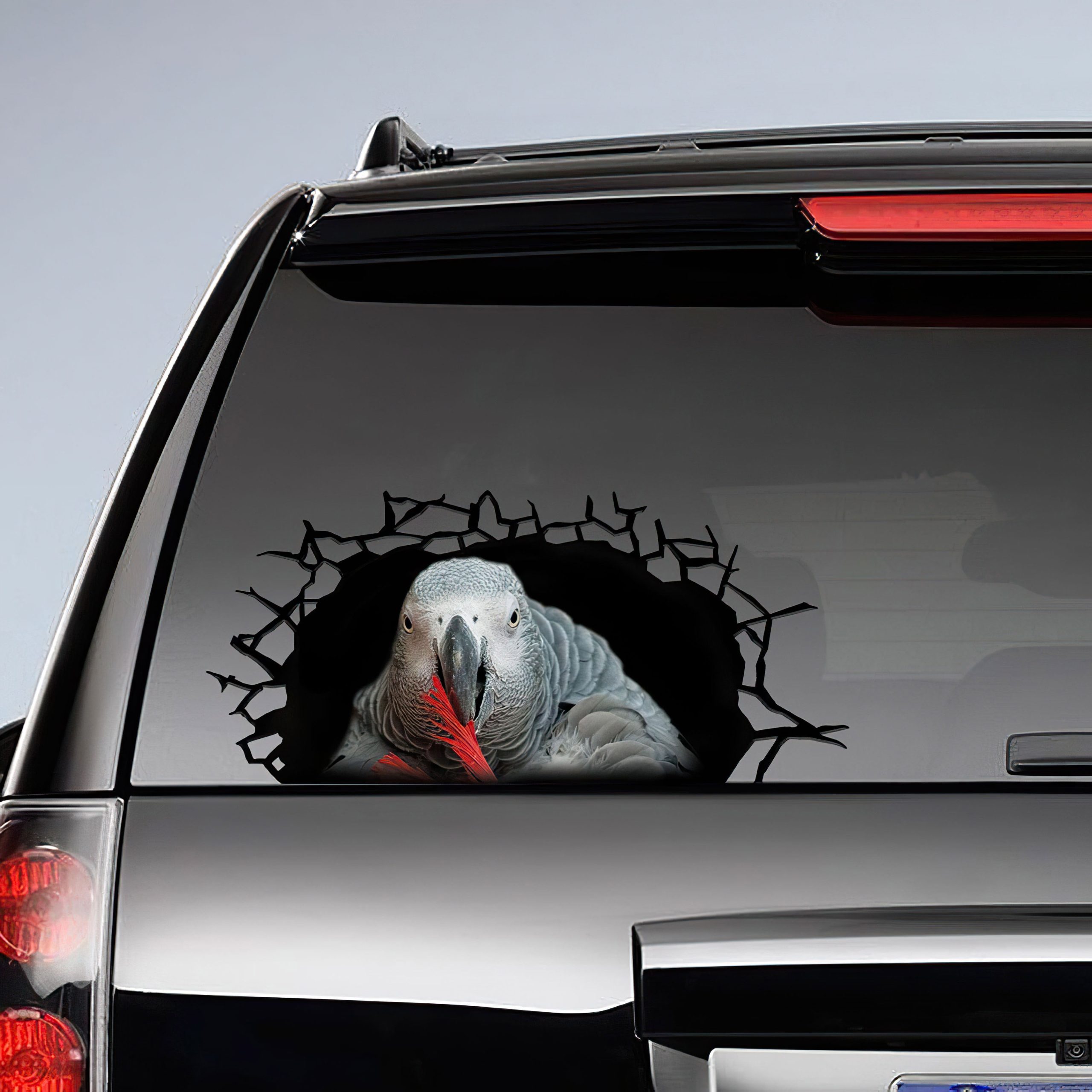 Best African Grey 3D Sticker, Cracked Window Car 3D Stickers Decal Car Accessories Car Decoration Amazing Gift Idea