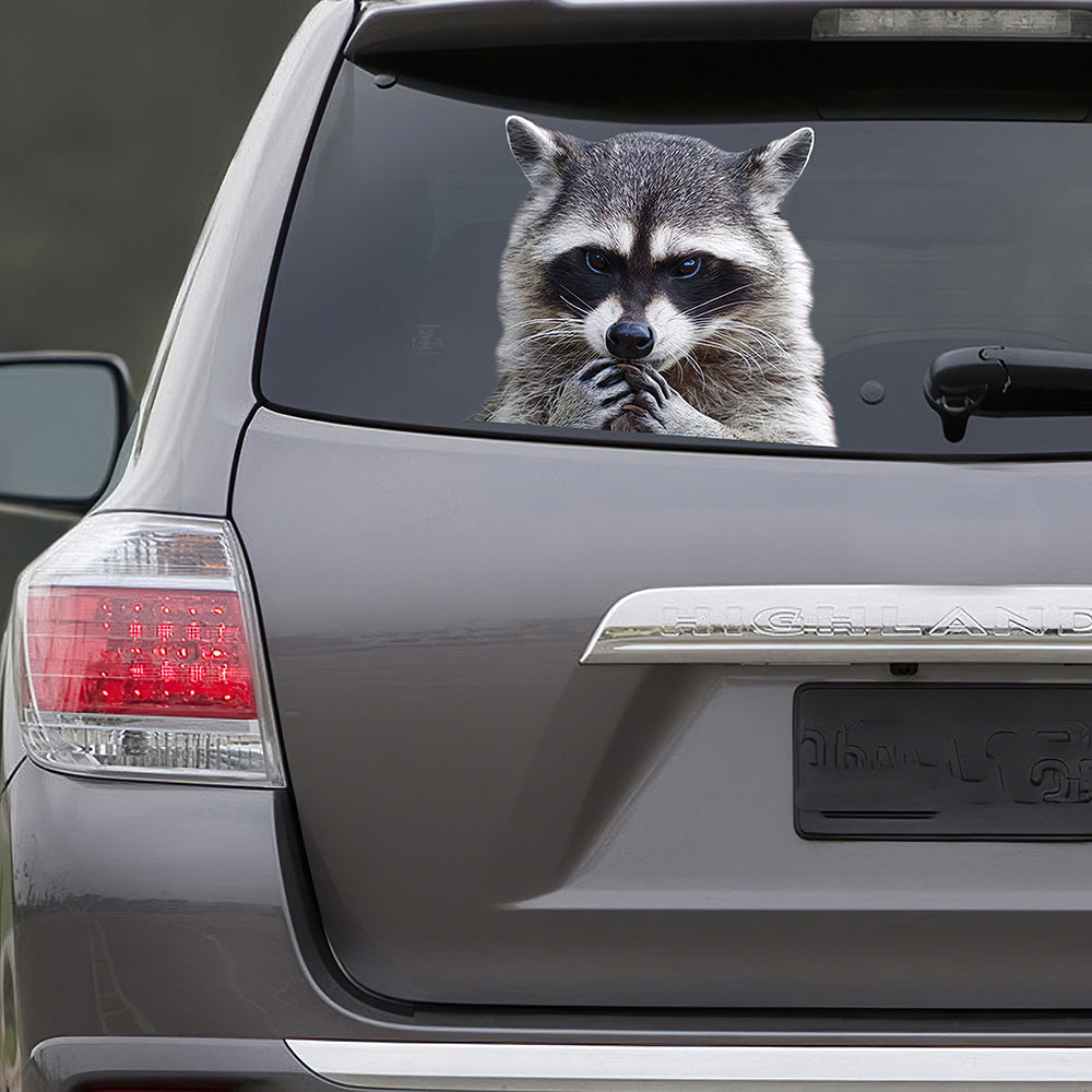 Best Angry Raccoon Window Car 3D Stickers Decal Car Accessories Car Decoration Amazing Gift Idea