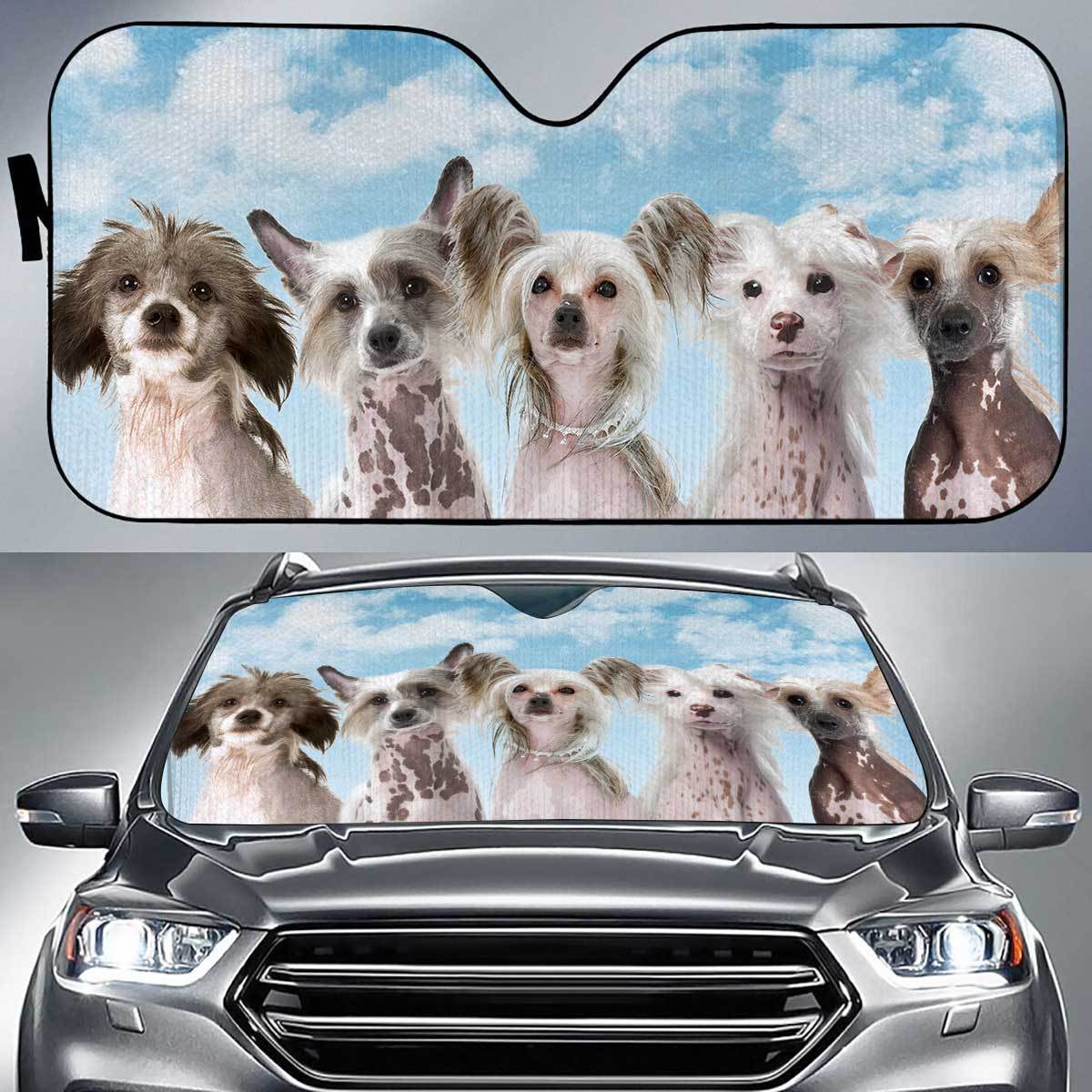 Chinese Crested Funny Team Auto Sun Shade Gift Ideas 2022