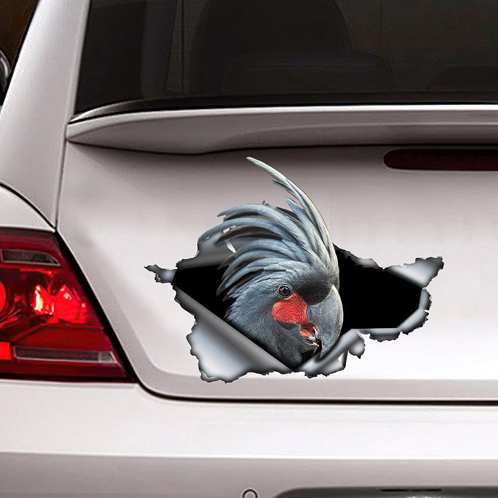 Best Black Palm Cockatoo Car 3D Stickers Decal Car Accessories Car Decoration Amazing Gift Idea