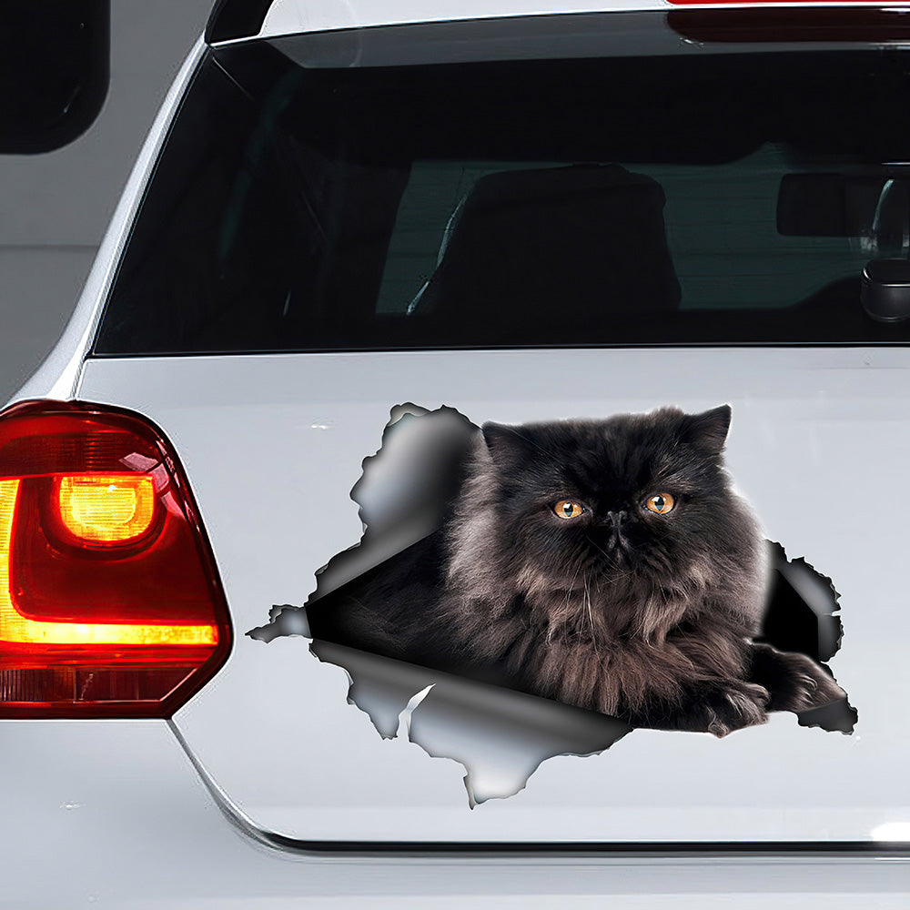 Best Black Persian Cat Car 3D Stickers Decal Car Accessories Car Decoration Amazing Gift Idea