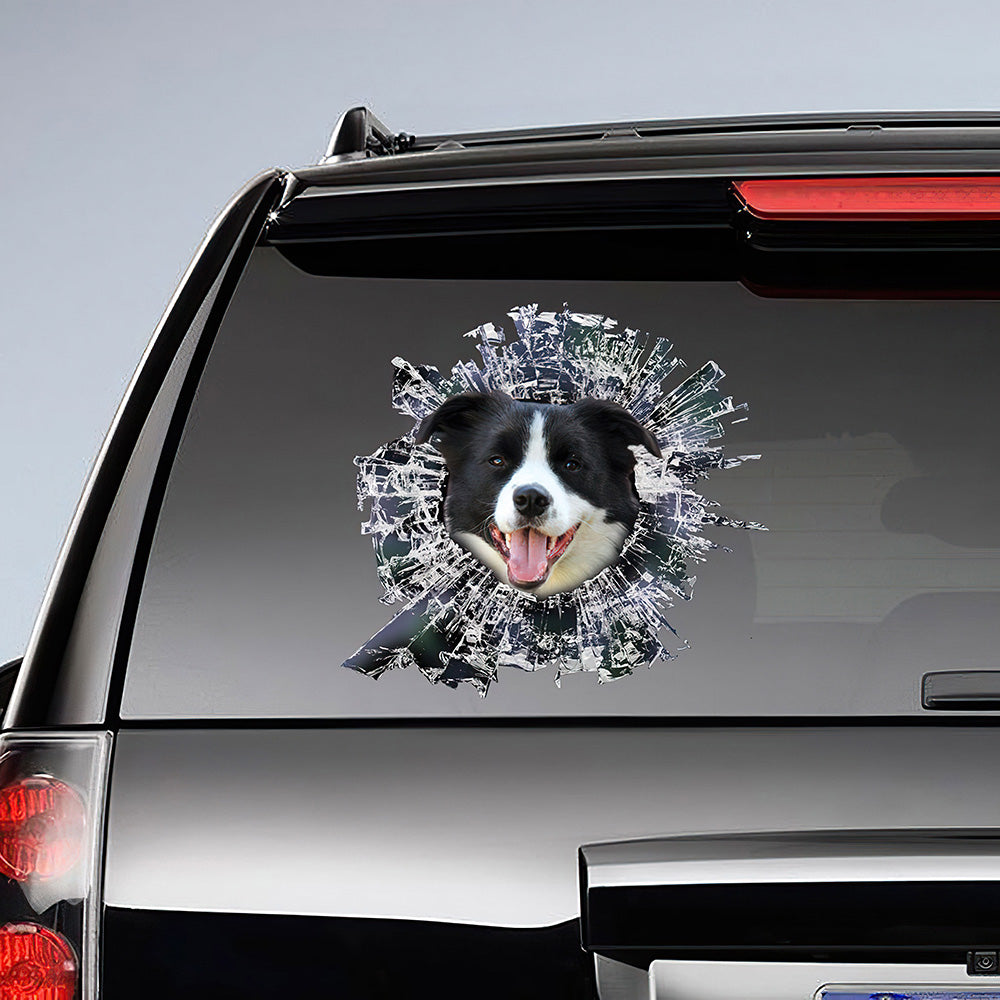 Best Black And White Border Collie Window Car 3D Stickers Decal Car Accessories Car Decoration Amazing Gift Idea