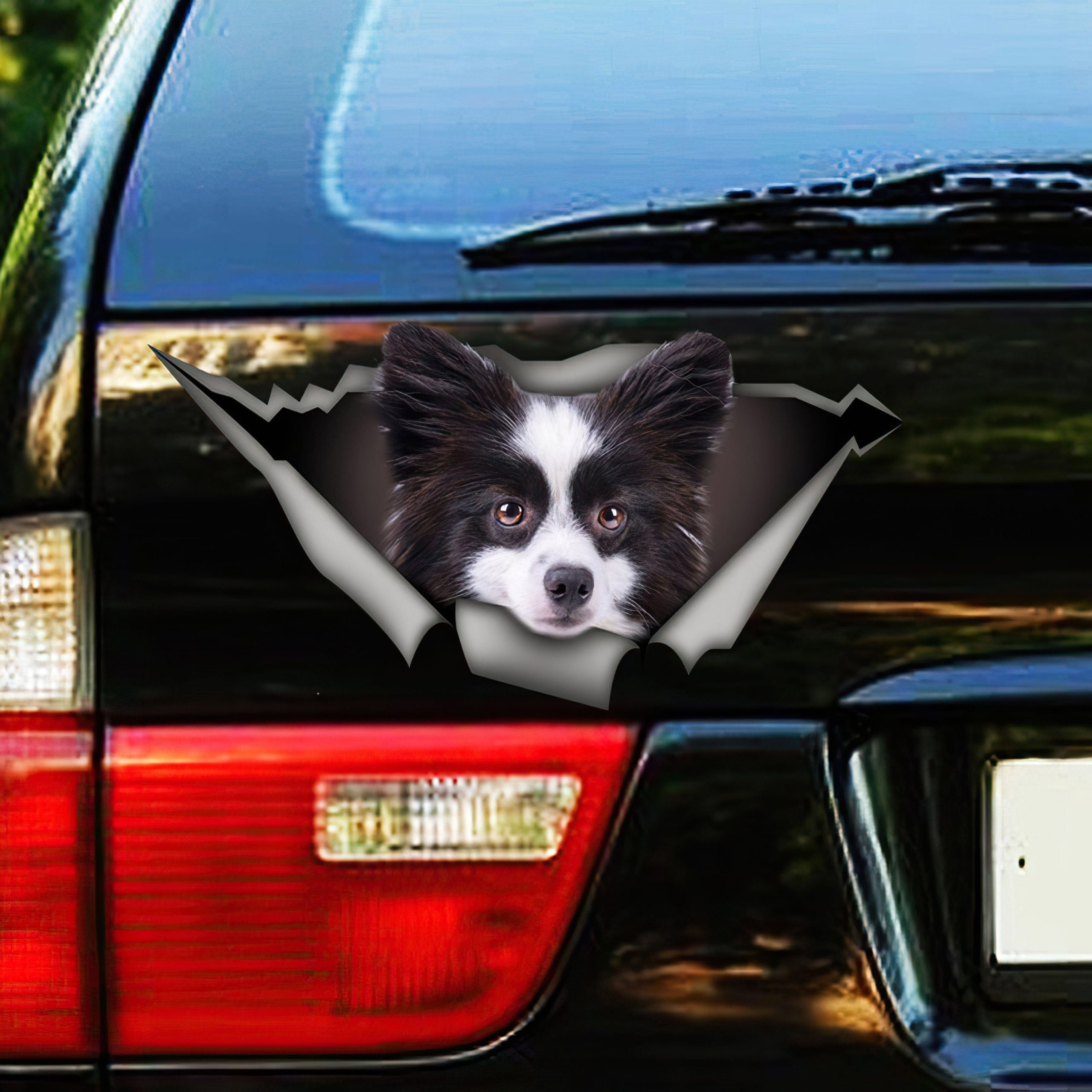 Best Black And White Pomeranian Car 3D Stickers Decal Car Accessories Car Decoration Amazing Gift Idea