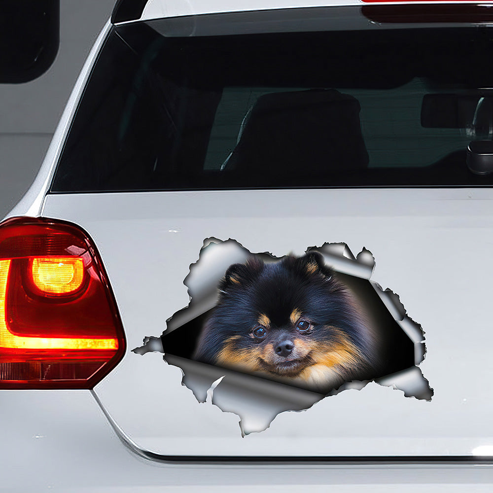 Best Black And Brown Pom Car 3D Stickers Decal Car Accessories Car Decoration Amazing Gift Idea