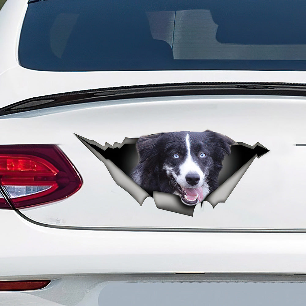 Best Black And White Aussie Car 3D Stickers Decal Car Accessories Car Decoration Amazing Gift Idea