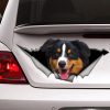 Best Black Tri Aussie Car 3D Stickers Decal Car Accessories Car Decoration Amazing Gift Idea