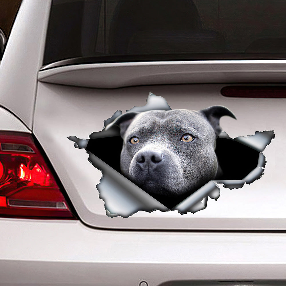 Best Blue Pitbull Car 3D Stickers Decal Car Accessories Car Decoration Amazing Gift Idea