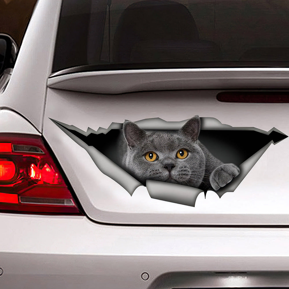 Best British Shorthair Decal, Gray Cat Car 3D Stickers Decal Car Accessories Car Decoration Amazing Gift Idea