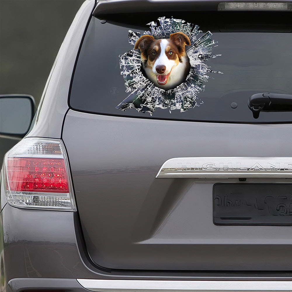 Best Brown And White Border Collie Window Car 3D Stickers Decal Car Accessories Car Decoration Amazing Gift Idea