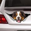 Best Copy Of Brown And White Springer Spaniel Car 2 Car 3D Stickers Decal Car Accessories Car Decoration Amazing Gift Idea