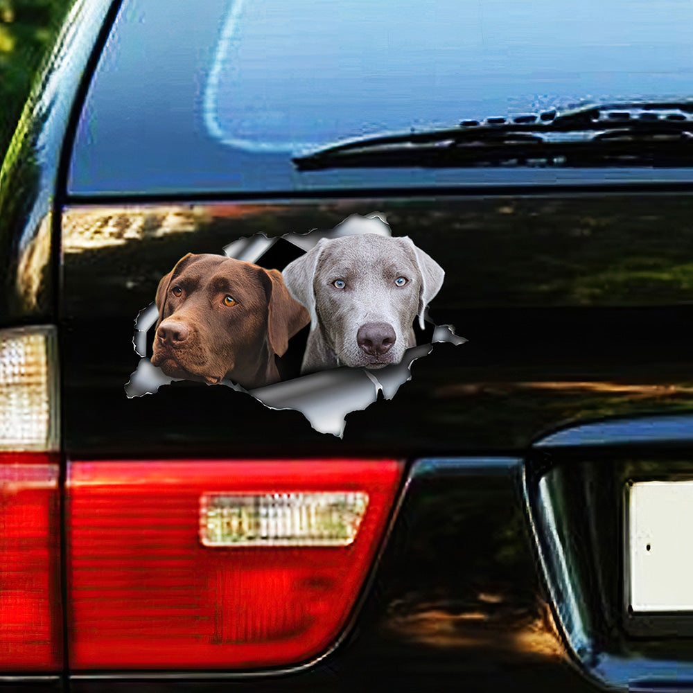 Best Brown And Silver Labs Car 3D Stickers Decal Car Accessories Car Decoration Amazing Gift Idea