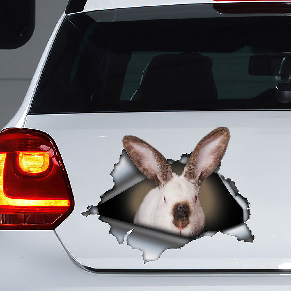 Best Californian Rabbit Car 3D Stickers Decal Car Accessories Car Decoration Amazing Gift Idea