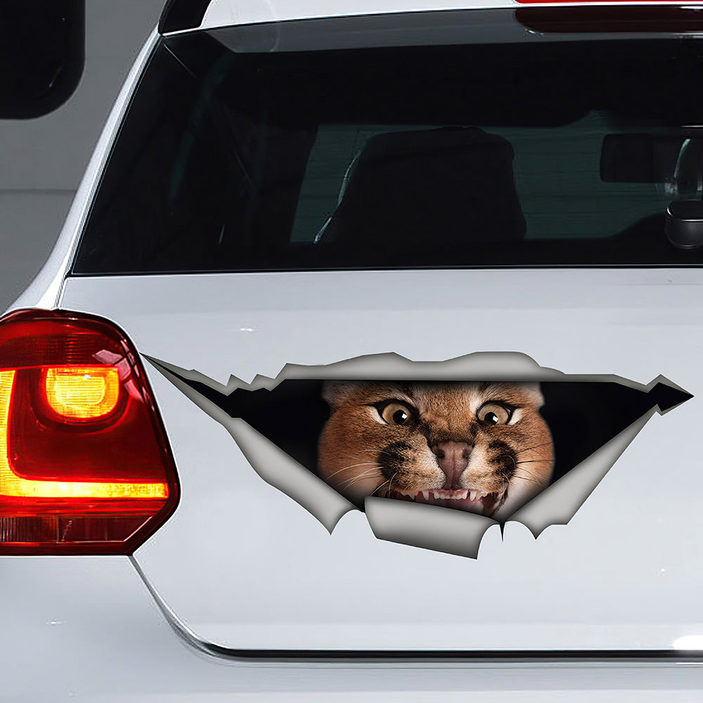 Best Caracal Car 3D Stickers Decal Car Accessories Car Decoration Amazing Gift Idea