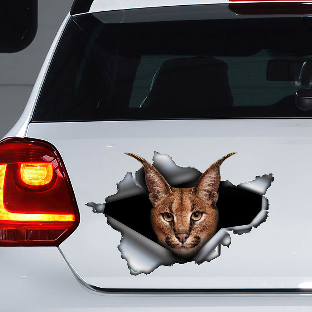 Best Caracal Car 1 Car 3D Stickers Decal Car Accessories Car Decoration Amazing Gift Idea