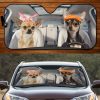 Two Chihuahuas Black Fawn Family Car Windshield Auto Sun Shade Amazing Best Gift Ideas 2021