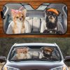 Two Chihuahuas Longhair Family Car Windshield Auto Sun Shade Amazing Best Gift Ideas 2021