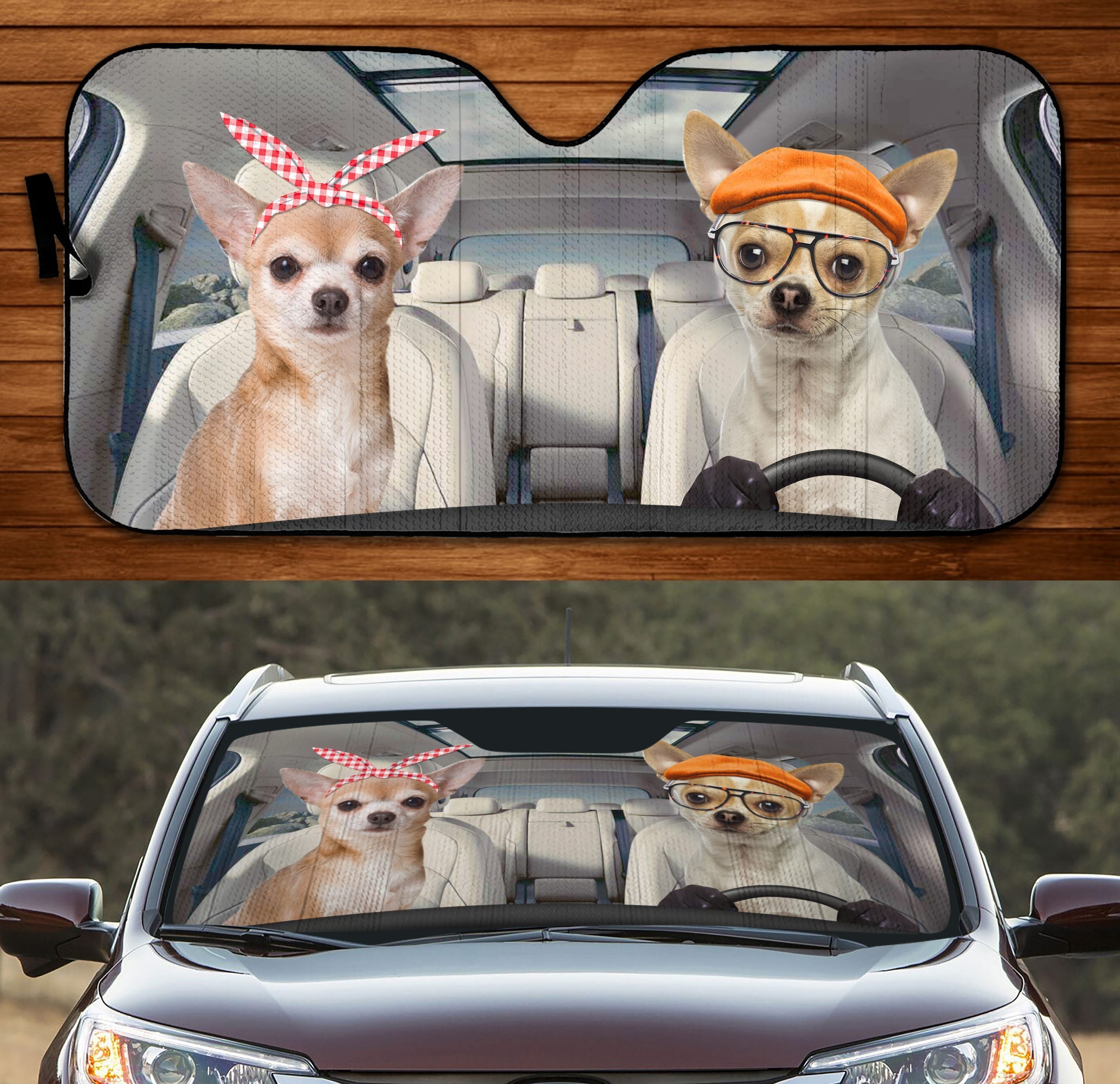 Two Chihuahuas Family Car Windshield Auto Sun Shade Amazing Best Gift Ideas 2021