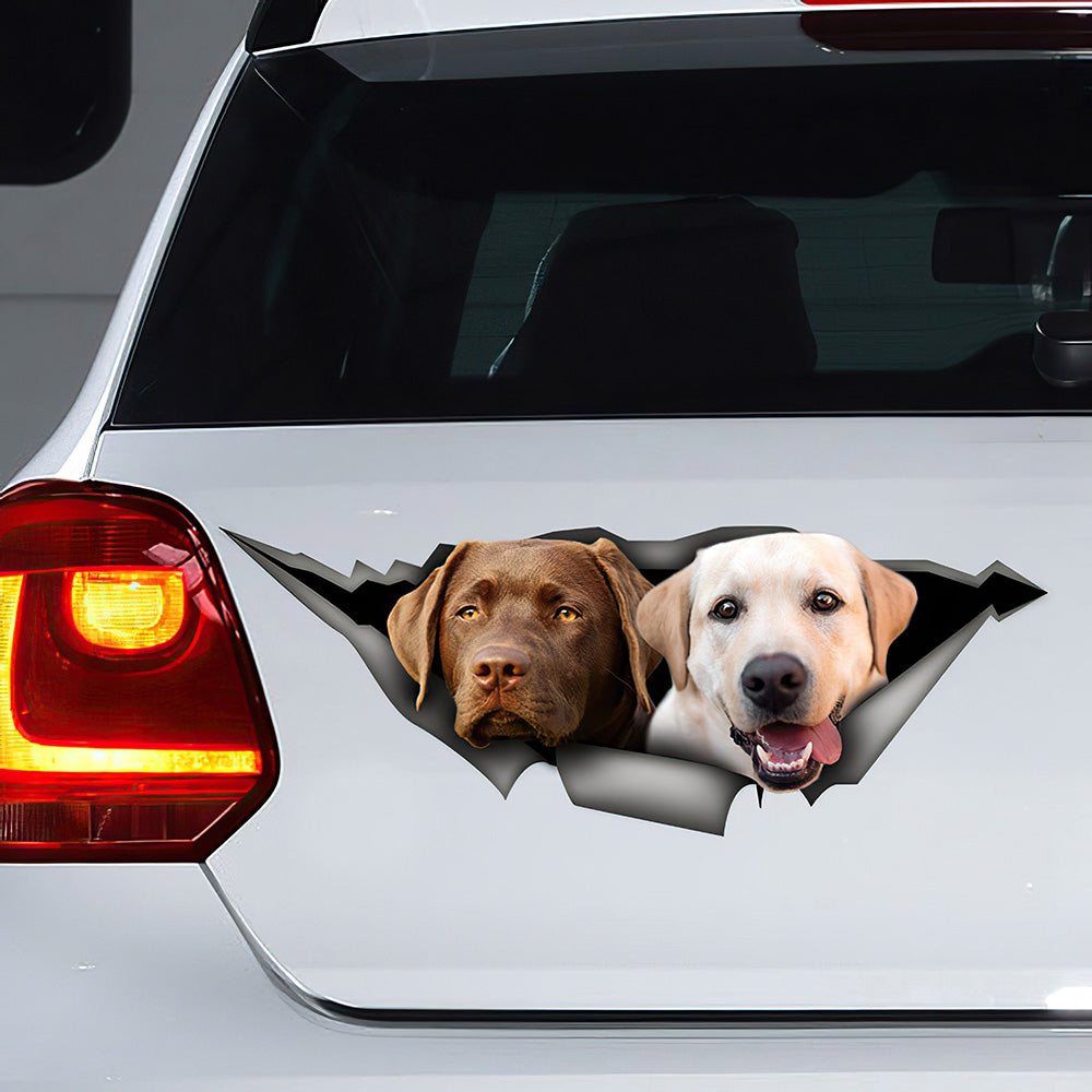 Best Gold Labs Car 3D Stickers Decal Car Accessories Car Decoration Amazing Gift Idea