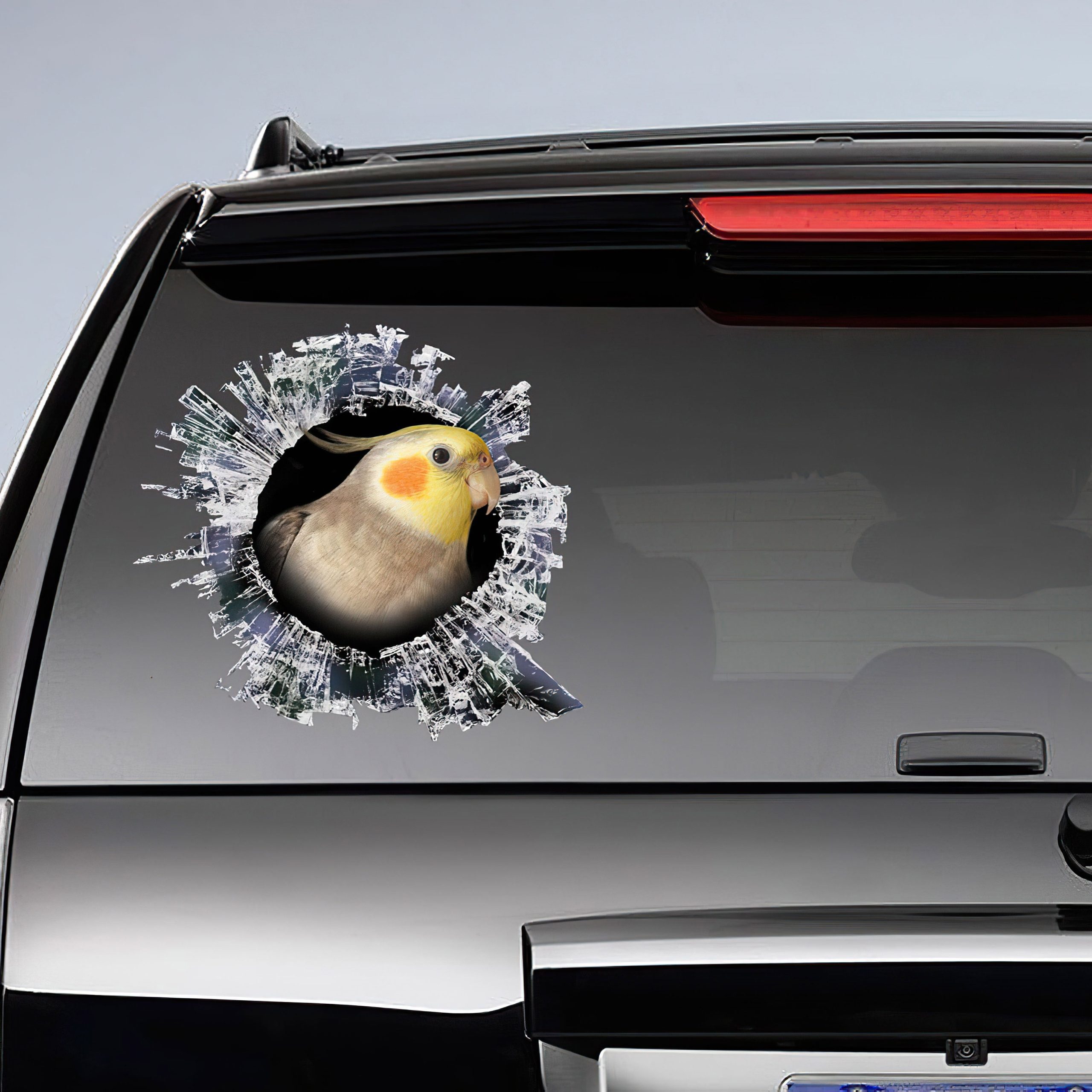 Best Cockatiel Window Car 3D Stickers Decal Car Accessories Car Decoration Amazing Gift Idea