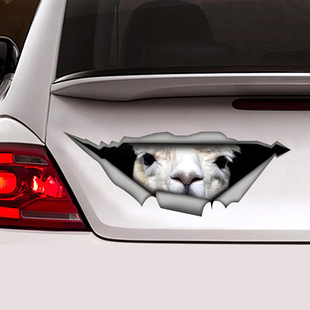 Best Decal, Lama Car 3D Stickers Decal Car Accessories Car Decoration Amazing Gift Idea