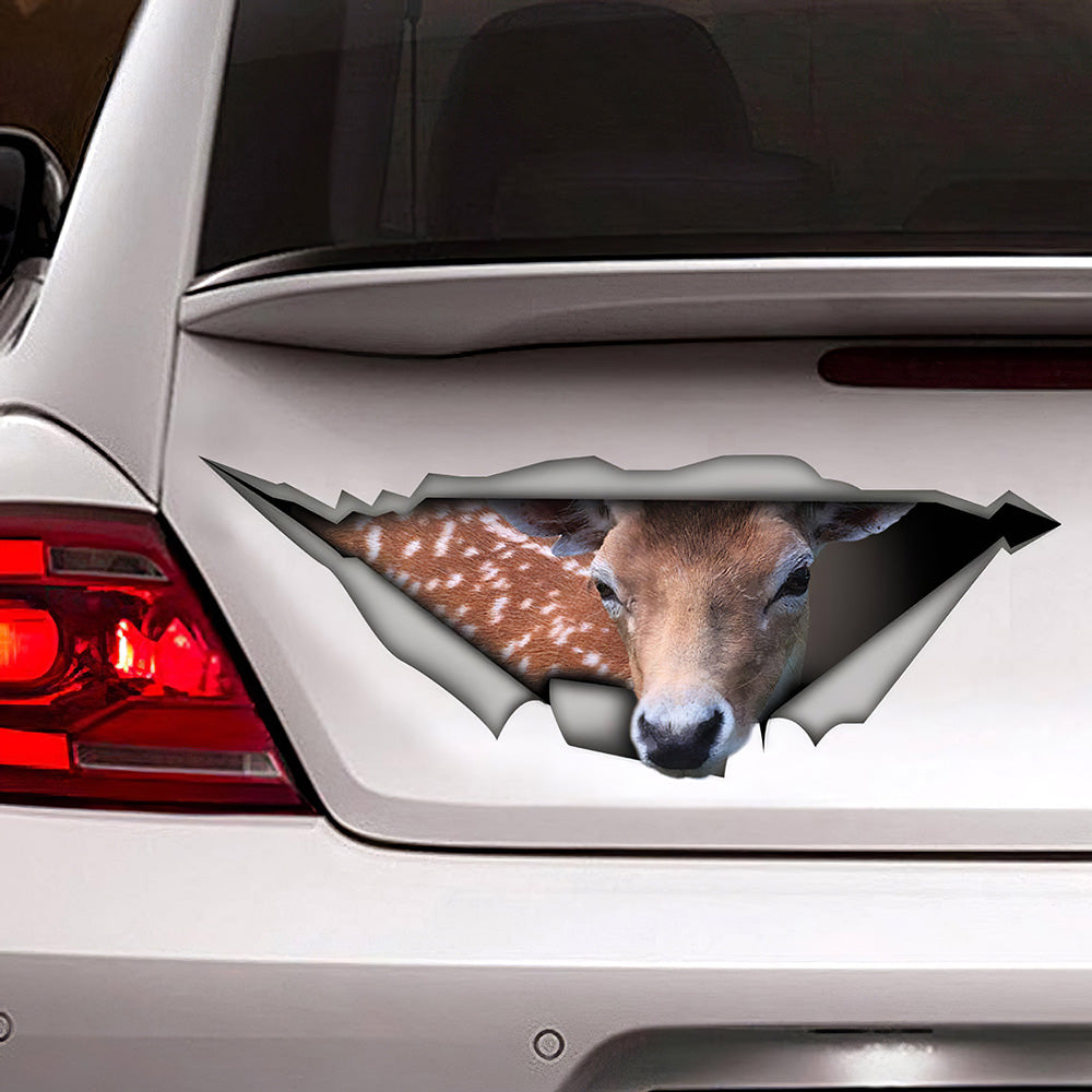 Best Deer Decal, Car 3D Stickers Decal Car Accessories Car Decoration Amazing Gift Idea