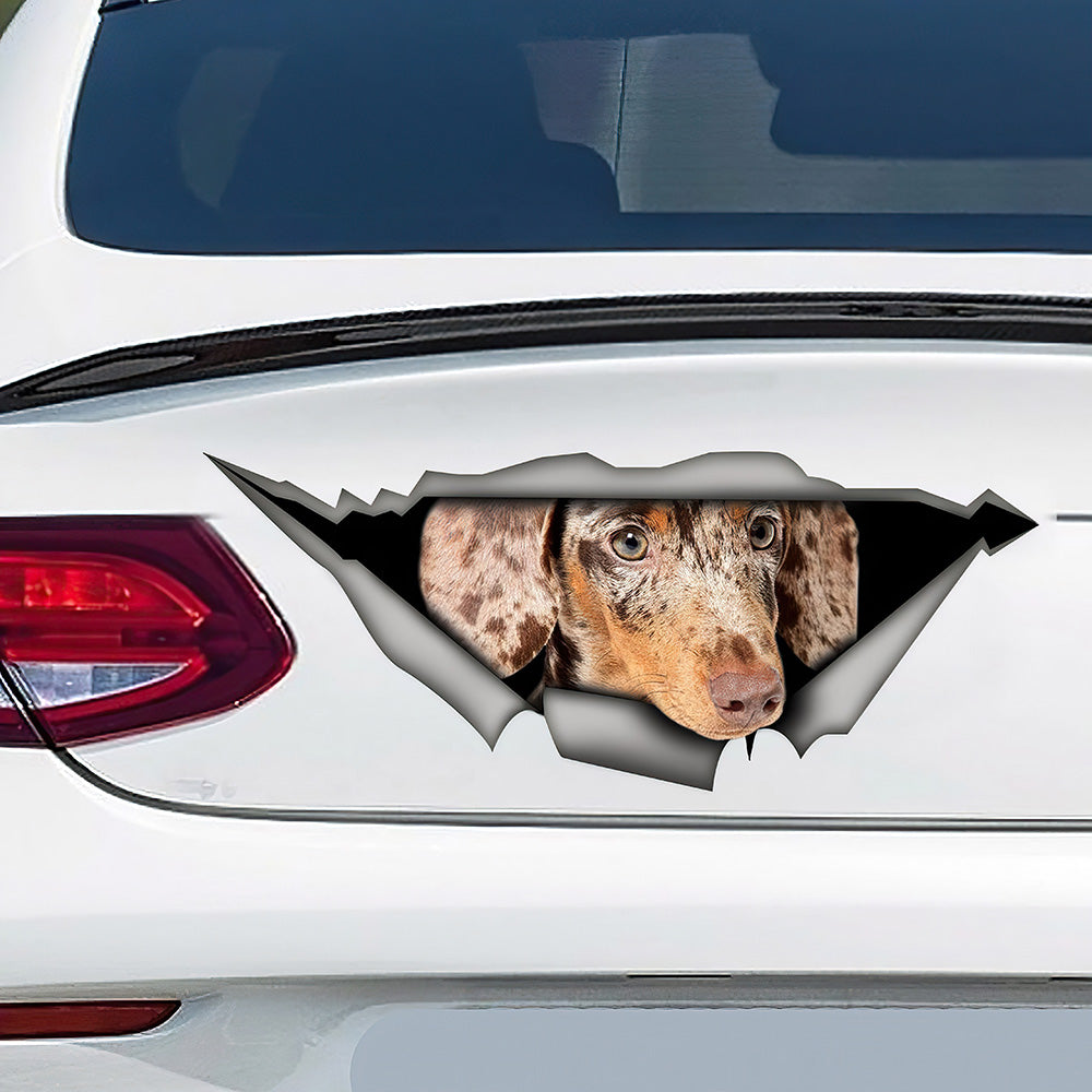 Best Double Chocolat Mini Dachshund Car 3D Stickers Decal Car Accessories Car Decoration Amazing Gift Idea