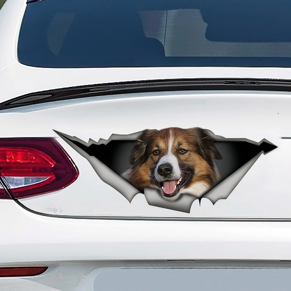 Best English Shepherd Car 3D Stickers Decal Car Accessories Car Decoration Amazing Gift Idea