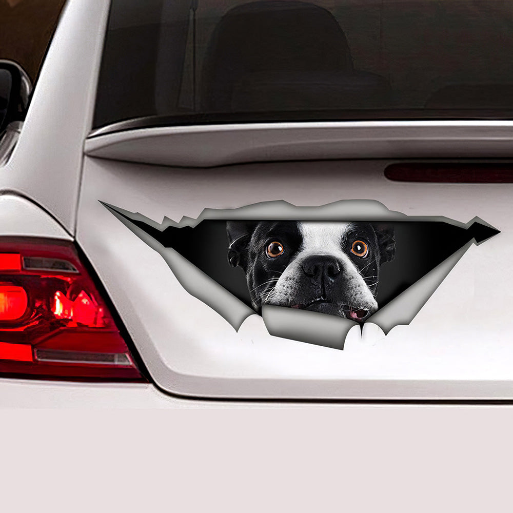 Best French Bulldog Decal 3 Car 3D Stickers Decal Car Accessories Car Decoration Amazing Gift Idea