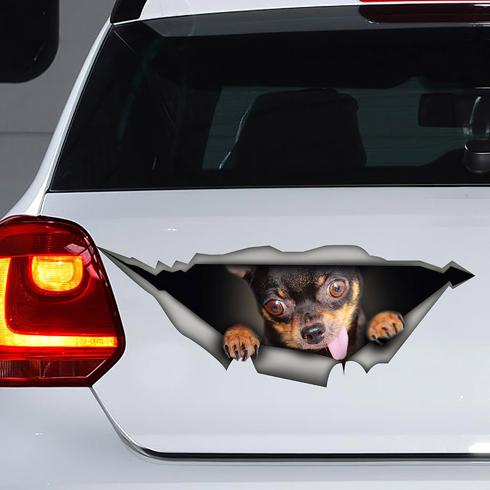 Best Funny Chihuahua Car 3D Stickers Decal Car Accessories Car Decoration Amazing Gift Idea