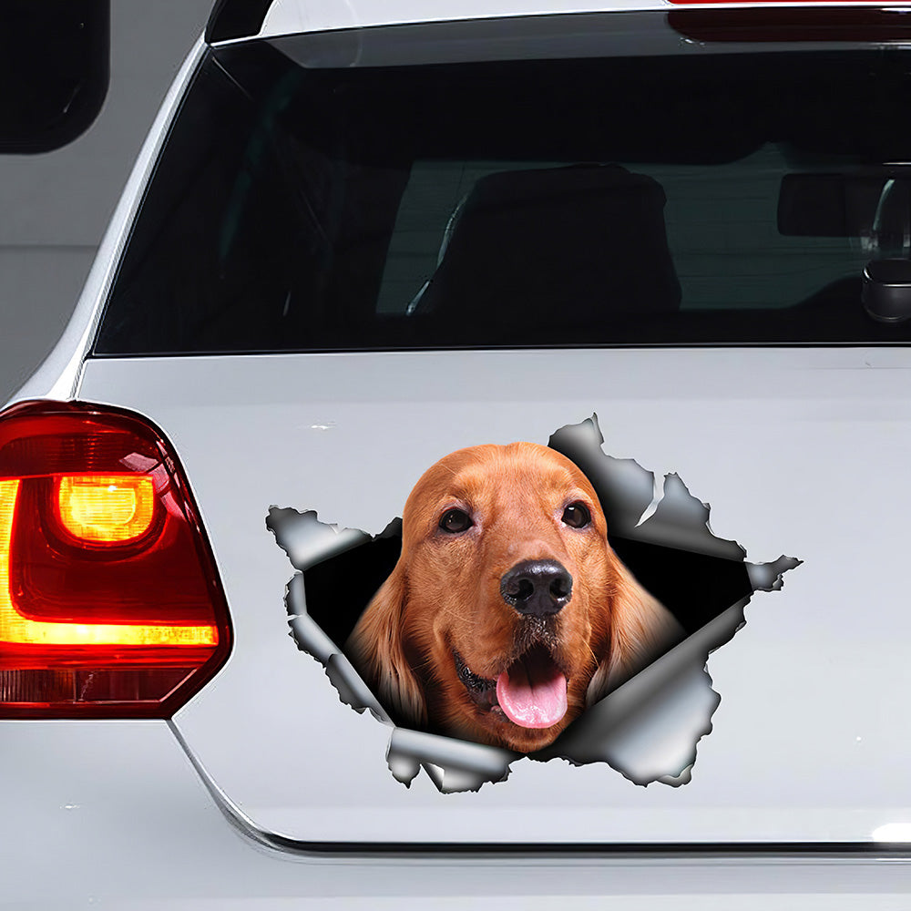 Best Ginger English Cocker Spaniel Car 3D Stickers Decal Car Accessories Car Decoration Amazing Gift Idea