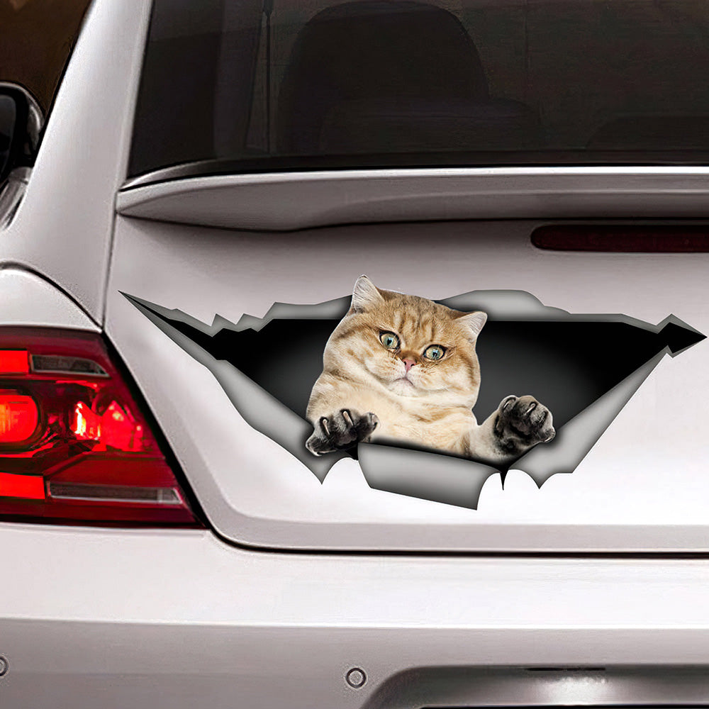 Best Golden Shaded British Shorthair Cat Car 3D Stickers Decal Car Accessories Car Decoration Amazing Gift Idea