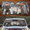 Two Great Danes Family Car Windshield Auto Sun Shade Amazing Best Gift Ideas 2021