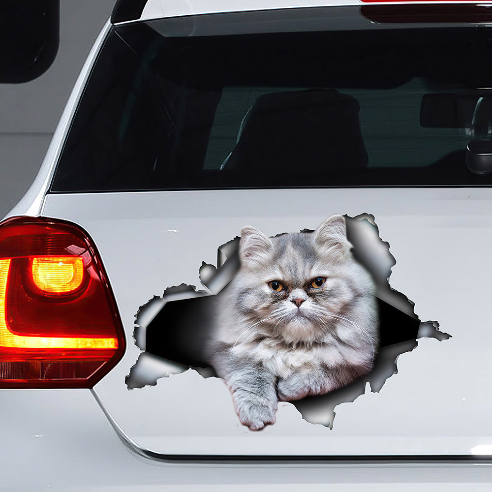 Best Grey Persian Cat Car 3D Stickers Decal Car Accessories Car Decoration Amazing Gift Idea