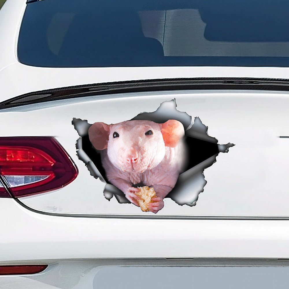 Best Hairless Rat Car 3D Stickers Decal Car Accessories Car Decoration Amazing Gift Idea