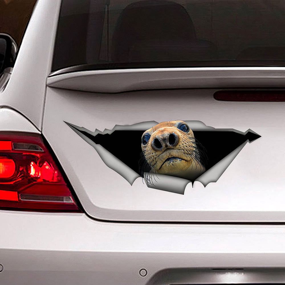 Best Harbor Seal Car 3D Stickers Decal Car Accessories Car Decoration Amazing Gift Idea