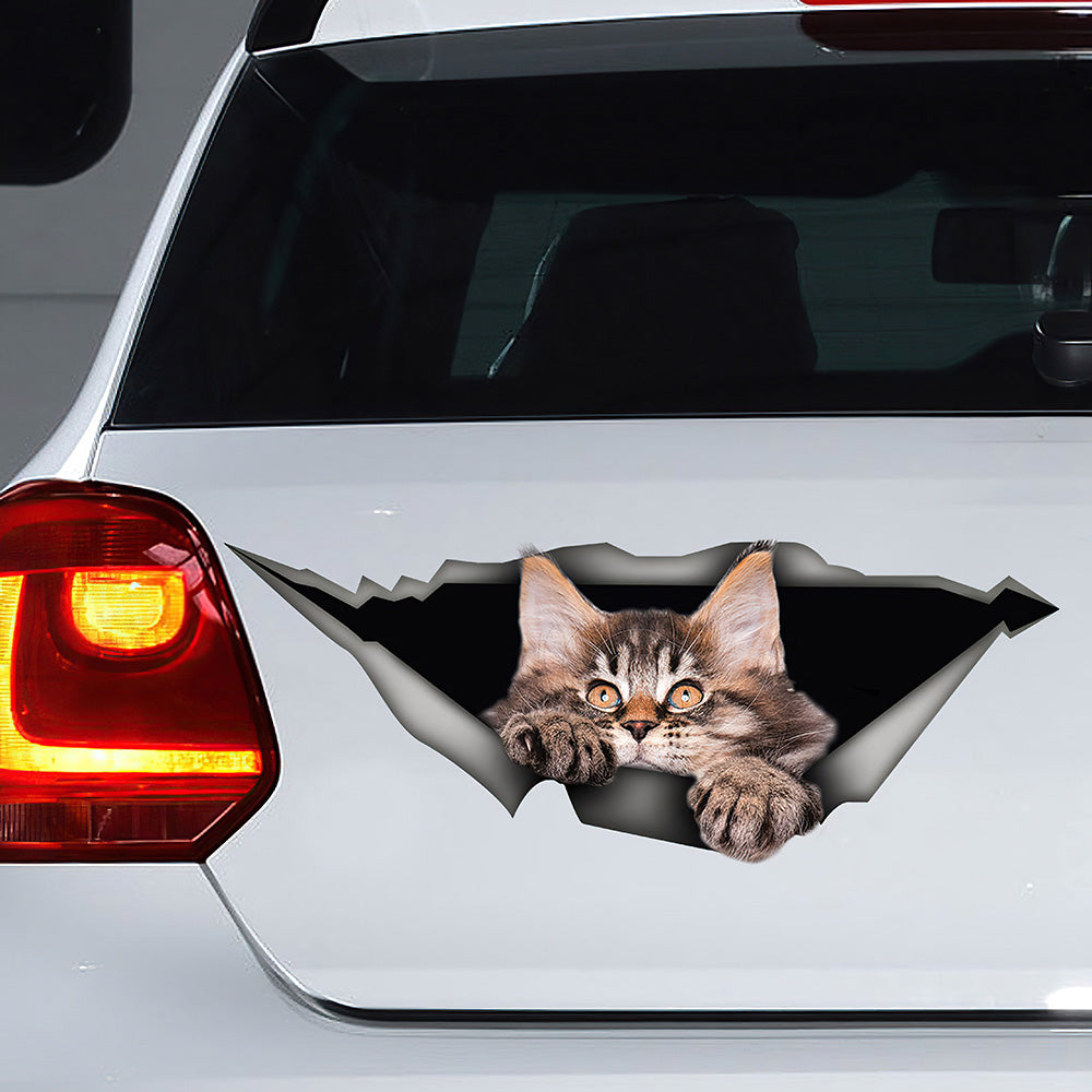 Best Kitty Maine Coon Car 3D Stickers Decal Car Accessories Car Decoration Amazing Gift Idea