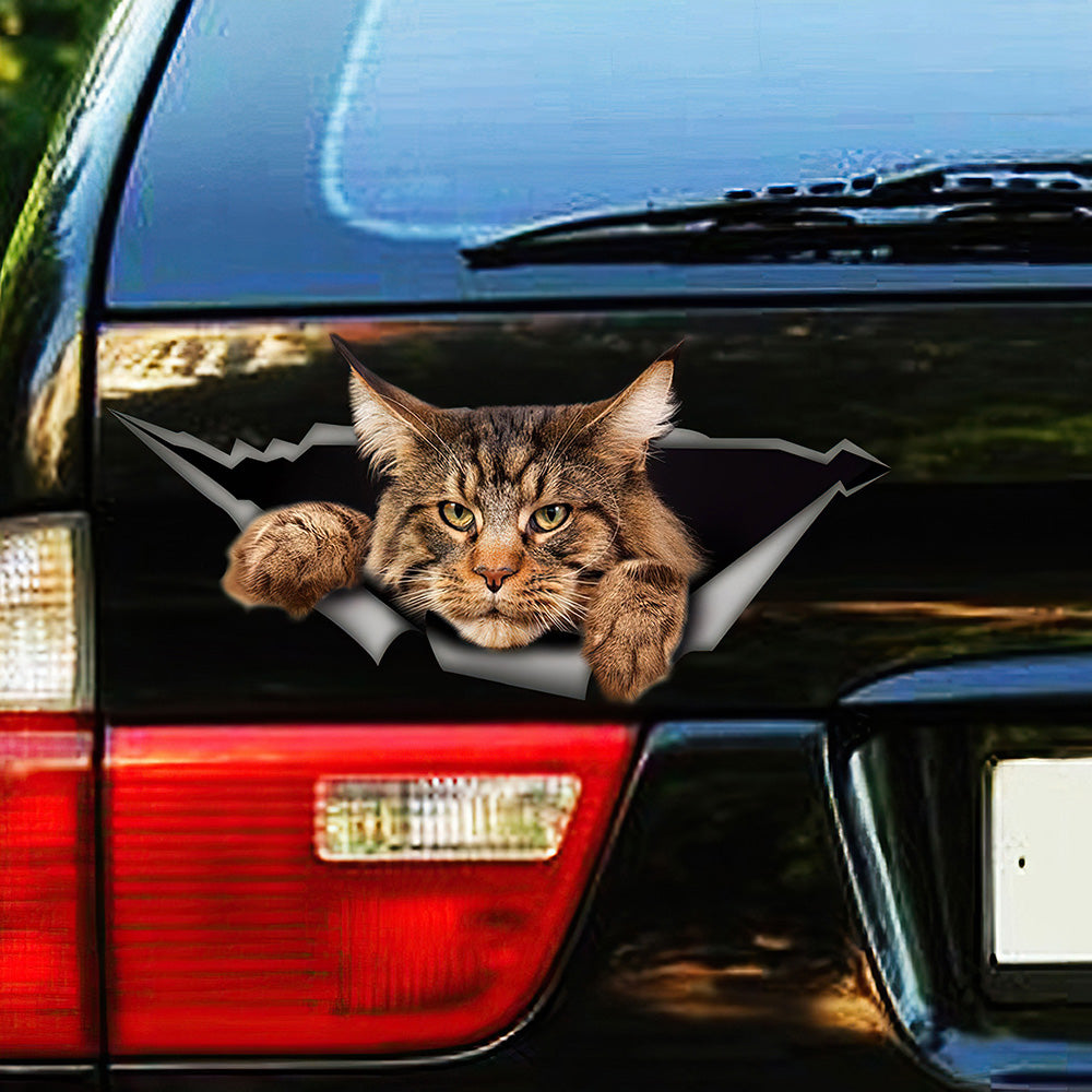 Best Maine Coon Car 1 Car 3D Stickers Decal Car Accessories Car Decoration Amazing Gift Idea