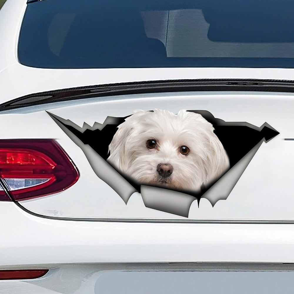 Best Maltese Car 3D Stickers Decal Car Accessories Car Decoration Amazing Gift Idea