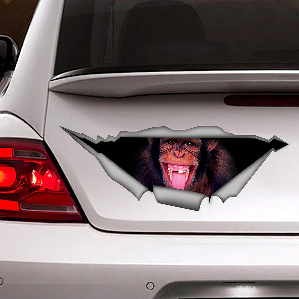 Best Monkey Car 3D Stickers Decal Car Accessories Car Decoration Amazing Gift Idea