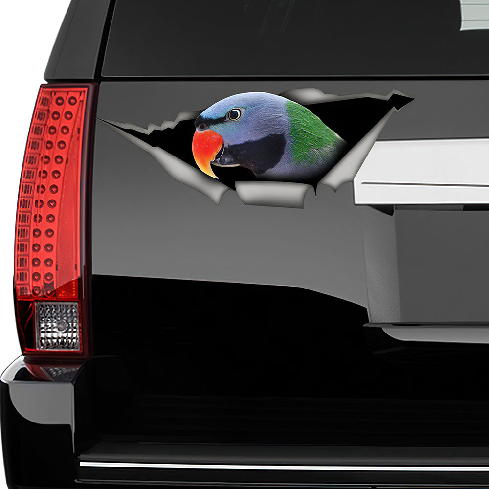 Best Moustache Parakeet Car 3D Stickers Decal Car Accessories Car Decoration Amazing Gift Idea