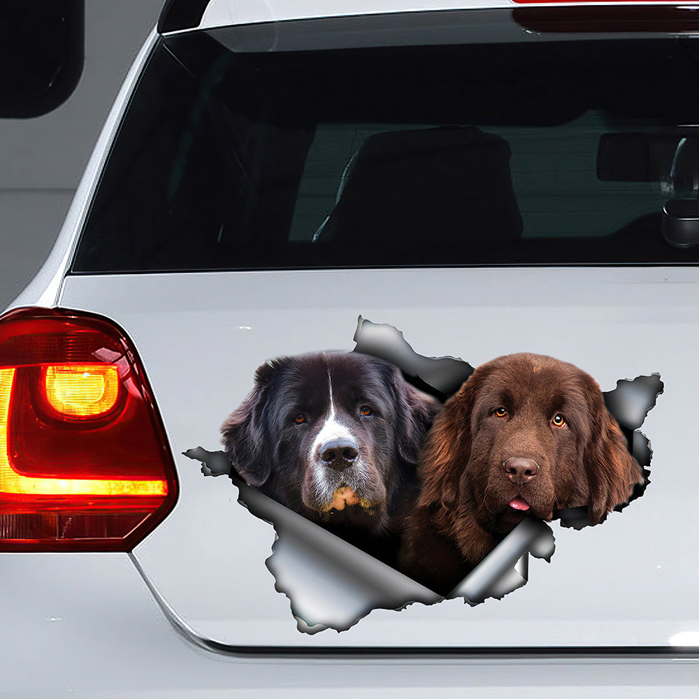 Best Newfie Car 3D Stickers Decal Car Accessories Car Decoration Amazing Gift Idea