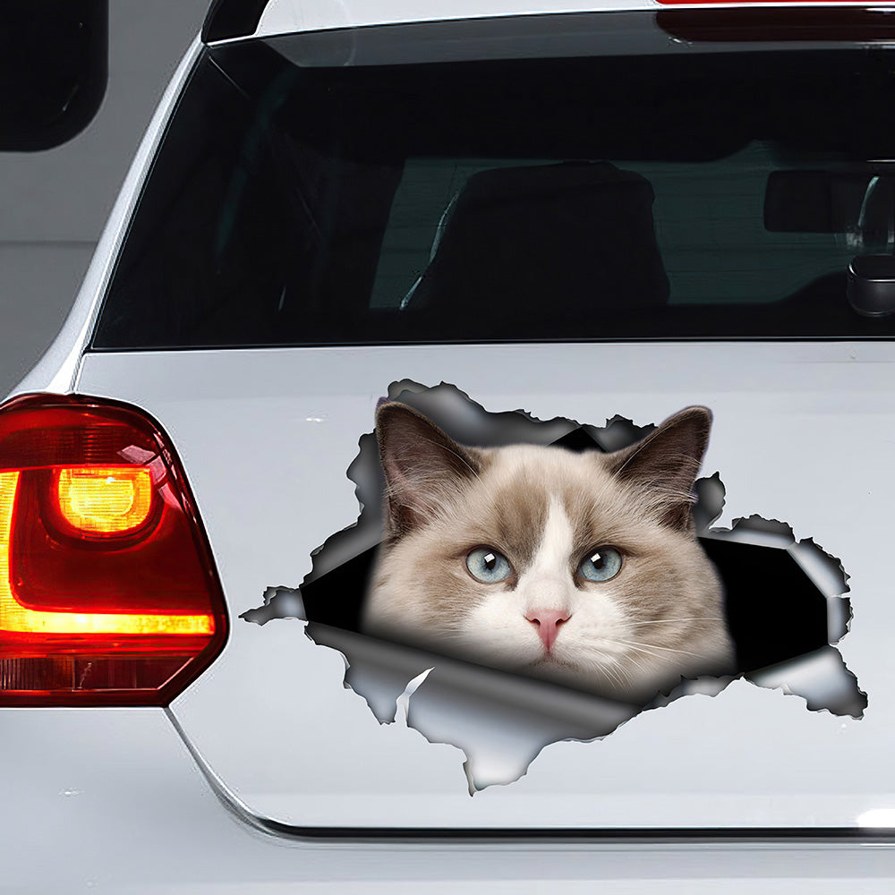 Best Ragdoll Cat Car 3D Stickers Decal Car Accessories Car Decoration Amazing Gift Idea