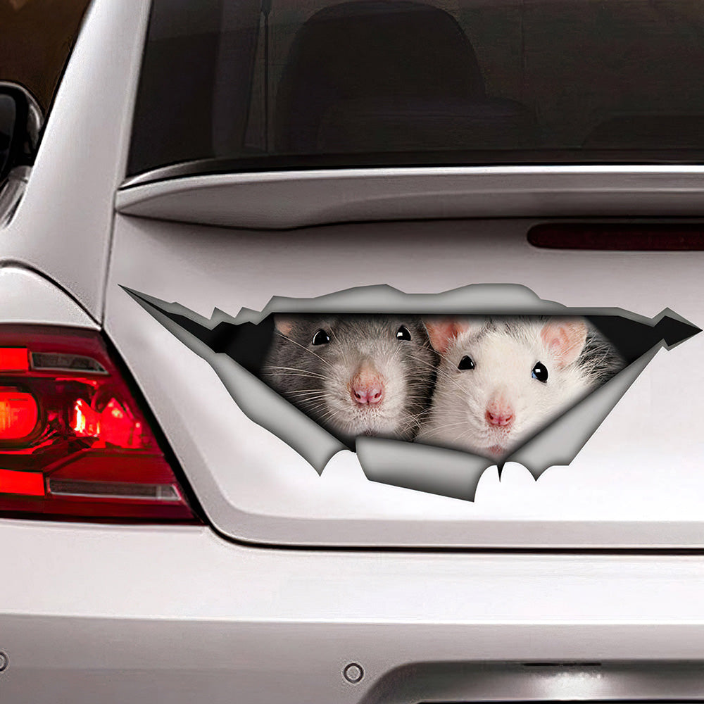 Best Rats Decal, Funny Car 3D Stickers Decal Car Accessories Car Decoration Amazing Gift Idea