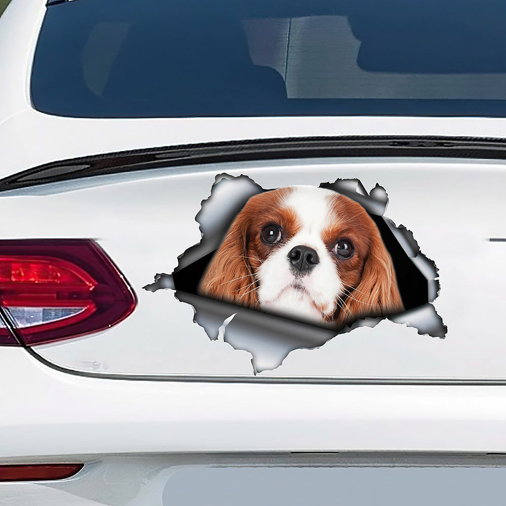 Best Red Cavalier King Charles Car 3D Stickers Decal Car Accessories Car Decoration Amazing Gift Idea