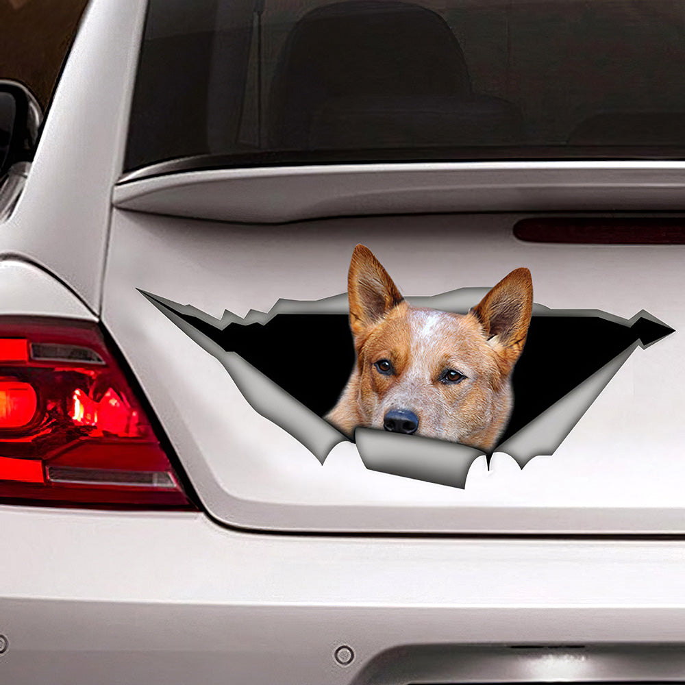 Best Red Heeler Car 3D Stickers Decal Car Accessories Car Decoration Amazing Gift Idea