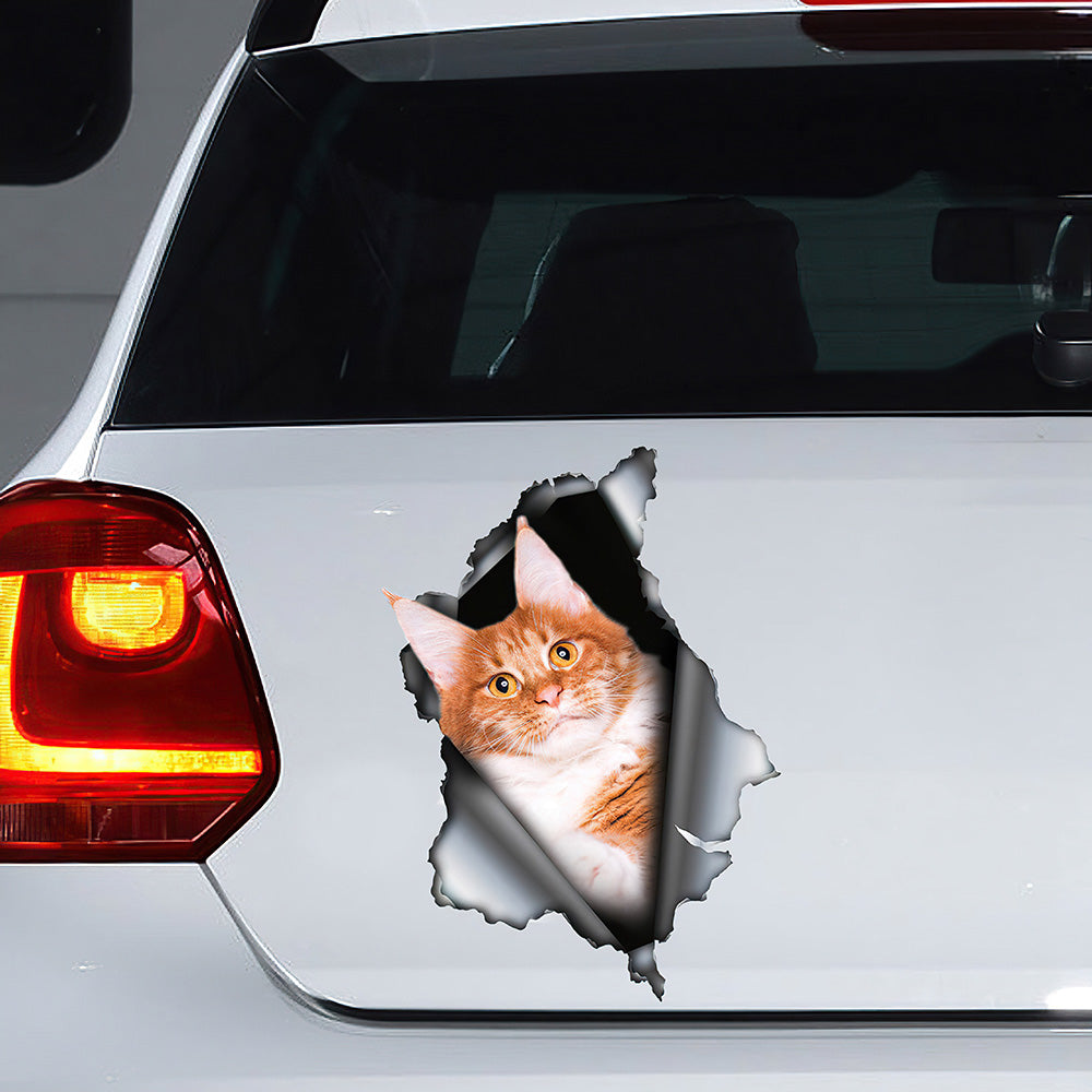 Best Red Maine Coon Car 2 Car 3D Stickers Decal Car Accessories Car Decoration Amazing Gift Idea