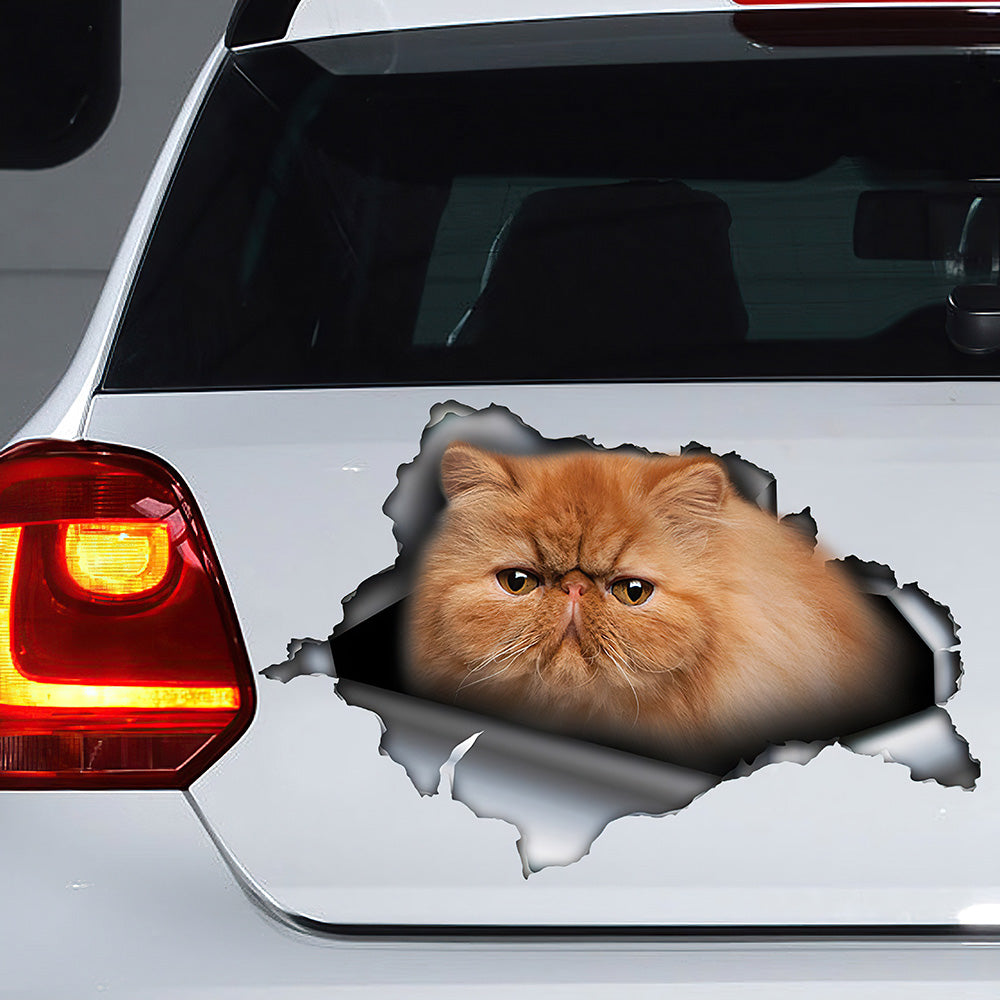 Best Red Persian Cat Car 3D Stickers Decal Car Accessories Car Decoration Amazing Gift Idea