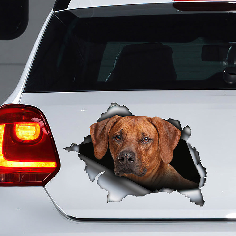 Best Rhodesian Ridgeback Car 3D Stickers Decal Car Accessories Car Decoration Amazing Gift Idea