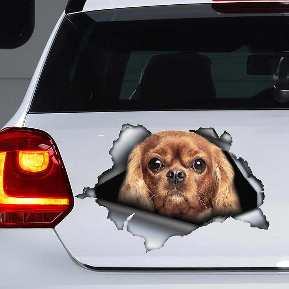 Best Ruby Cavalier King Car 3D Stickers Decal Car Accessories Car Decoration Amazing Gift Idea